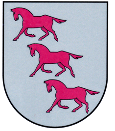 XVIII TRADICINĖ KRAŠTIEČIŲ ŠVENTĖ DUSETOSE