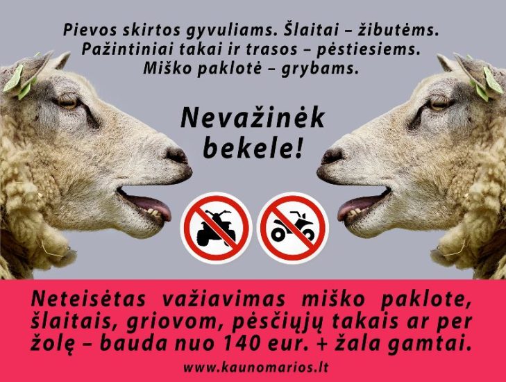 PIEŠINIŲ KONKURSAS MOKSLEIVIAMS