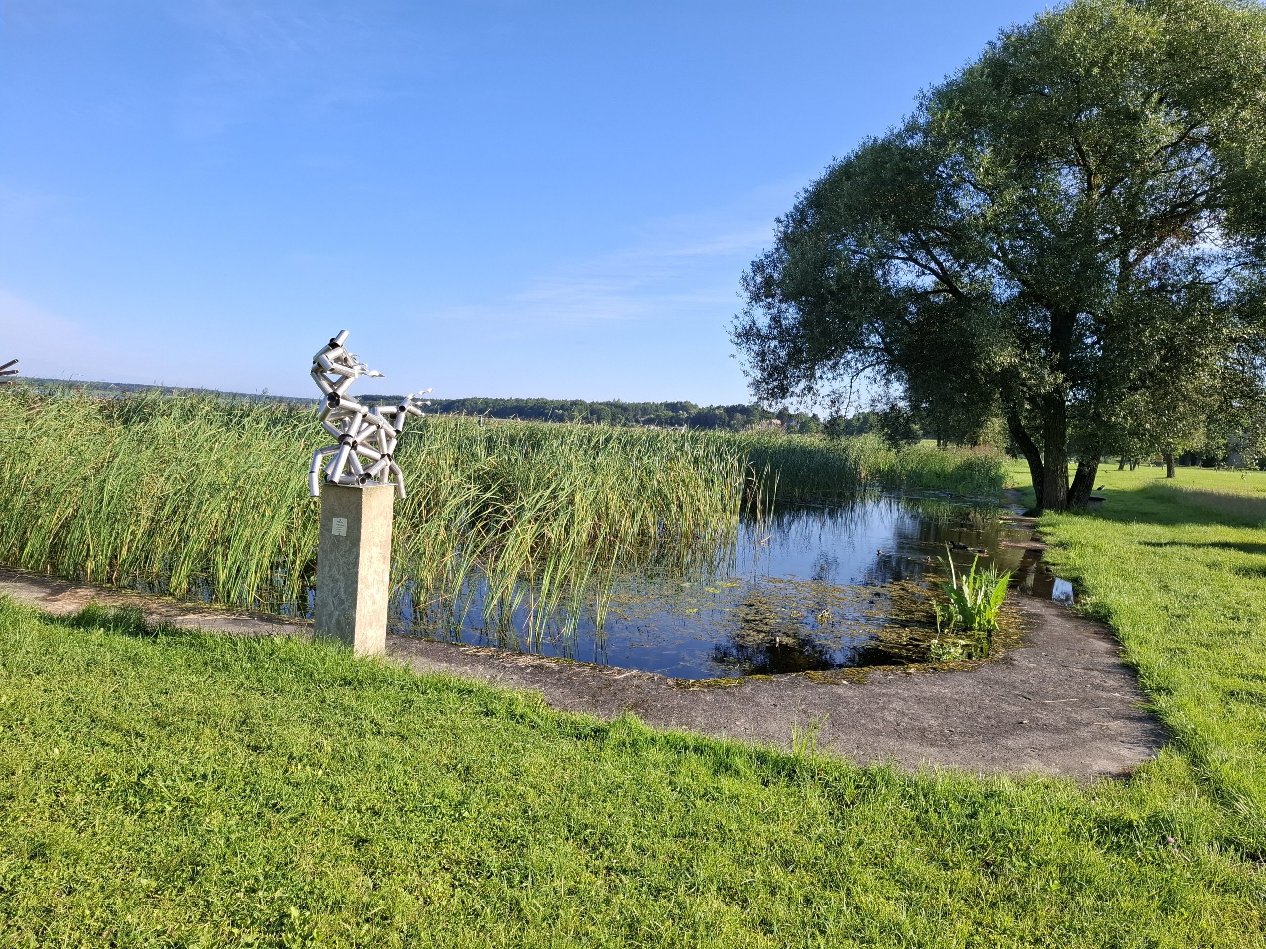 VIDUTINIS VANDENS LYGIS SARTŲ EŽERE