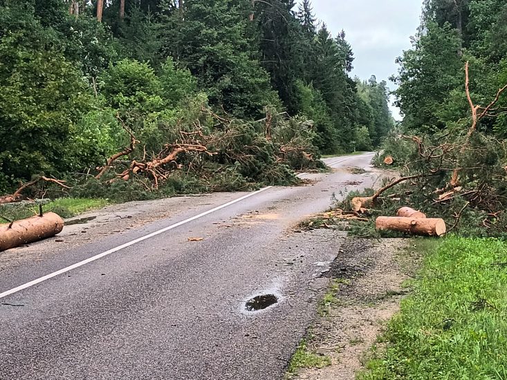 PRAŪŽUSIOS AUDROS PADARINIAI