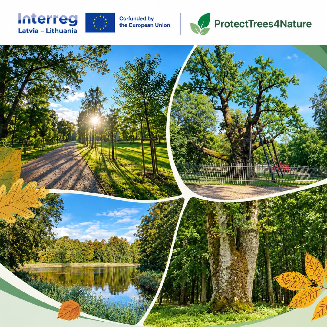 ĮGYVENDINAMAS TARPTAUTINIS PROJEKTAS „ProtectTrees4Nature“, SKIRTAS MEDŽIŲ IR PARKŲ APSAUGAI BEI BIOLOGINĖS ĮVAIROVĖS IŠSAUGOJIMUI